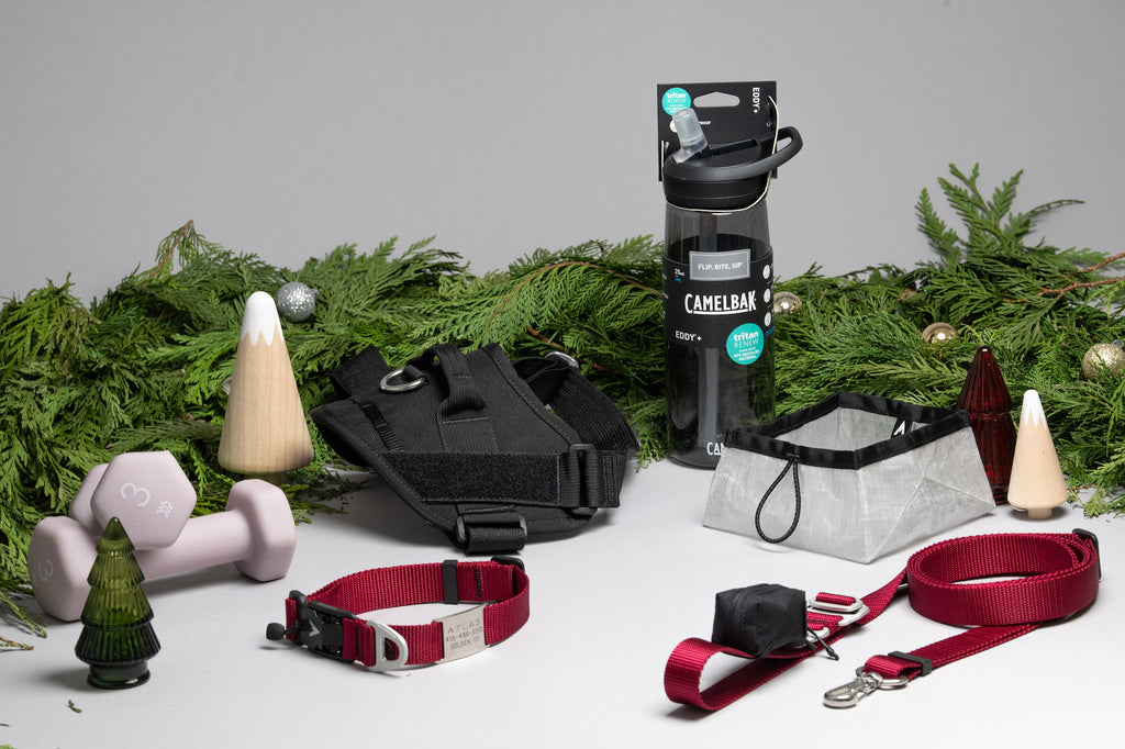 atlas pet company holiday dog gift guide featuring lifetime lite kit, lifetime lite collar, lifetime lite leash, lifetime pouch, lifetime bowl, lifetime pro harness