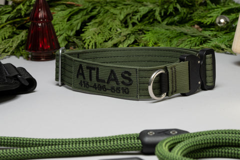 atlas pet company holiday dog gift guide featuring lifetime pro collar