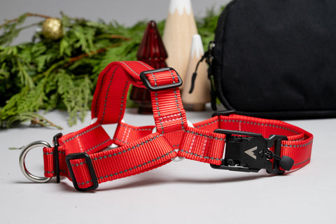 atlas pet company holiday dog gift guide featuring lifetime harness