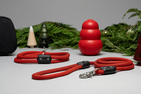 atlas pet company holiday dog gift guide featuring lifetime leash