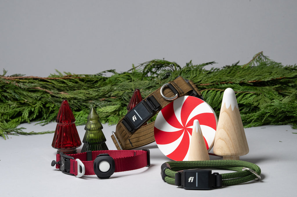 atlas pet company holiday dog gift guide featuring lifetime collar, lifetime lite collar, lifetime pro collar, fi snap