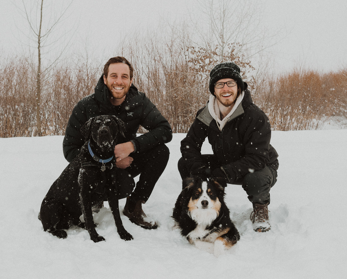 two dogs and their owners in the snow