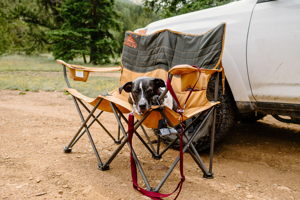 dog laying on camp chair with the atlas pet company lifetime lite leash hung over it