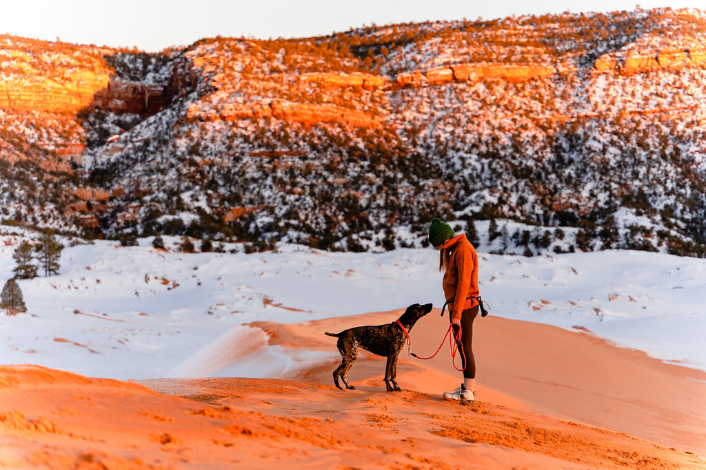 Woman and her dog standing on red rocks surrounded by snow in the winter desert