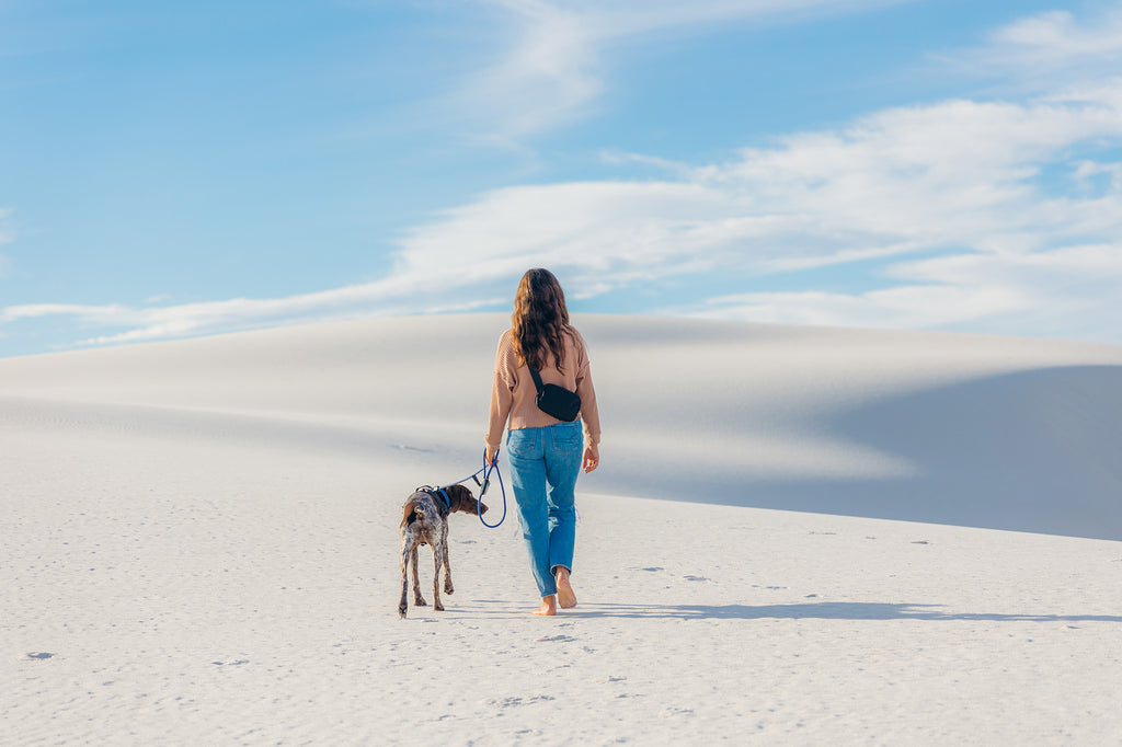 women walking a dog in the sand dunes wearing atlas pet company lifetime belt bag, lifetime pro harness, lifetime collar, and lifetime leash