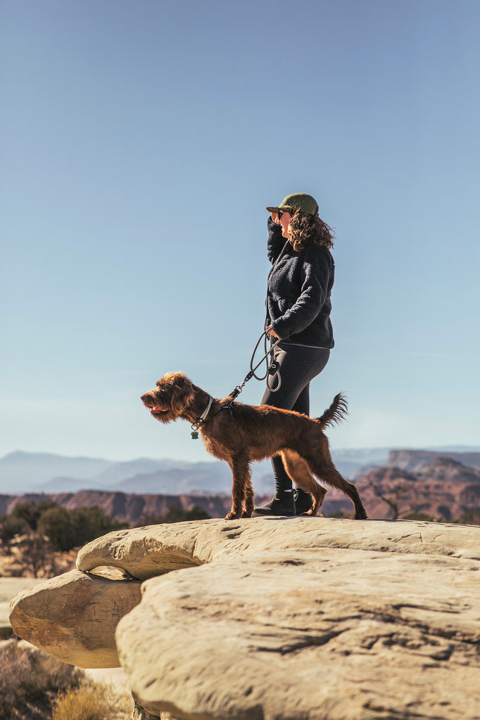 women looking out holding her dog on top of a mountain wearing atlas pet company lifetime leash, lifetime collar, and lifetime pouch