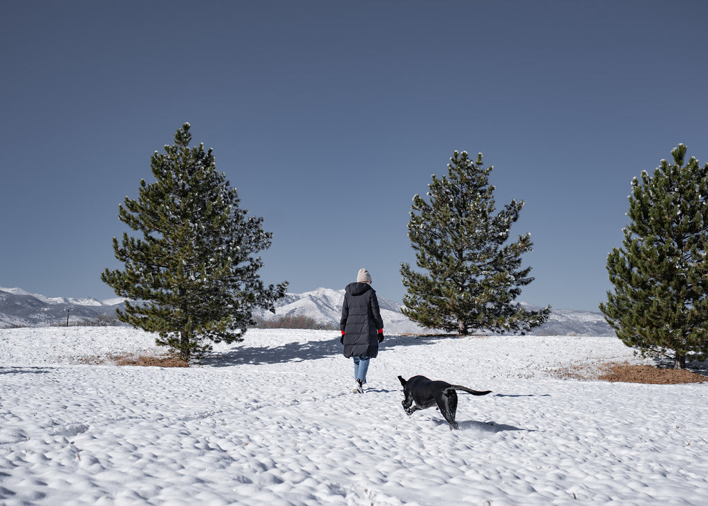 women and dog walking around in the snow during the winter around trees