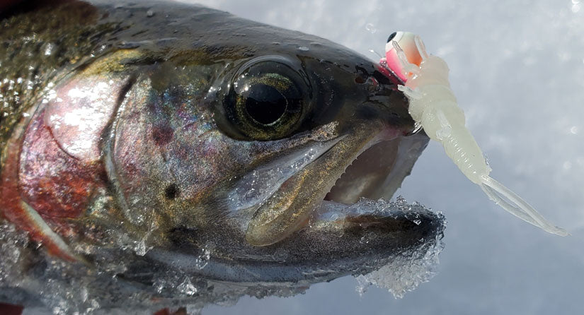 HOW TO Catch TROUT With SOFT BAITS - Every Cast A Fish! 
