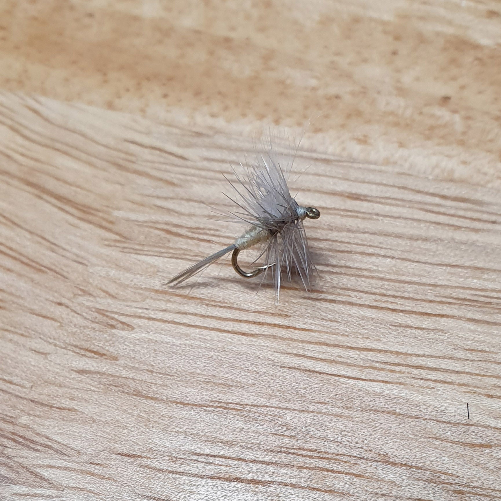 Pale Morning Dun dry fly