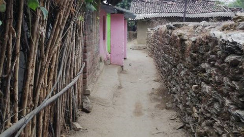 Rustic Pathway to Holi Boli