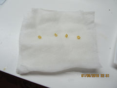 Chili Pepper seeds on paper towel.