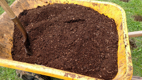 custom mixed soil for growing hot peppers and tomatoes