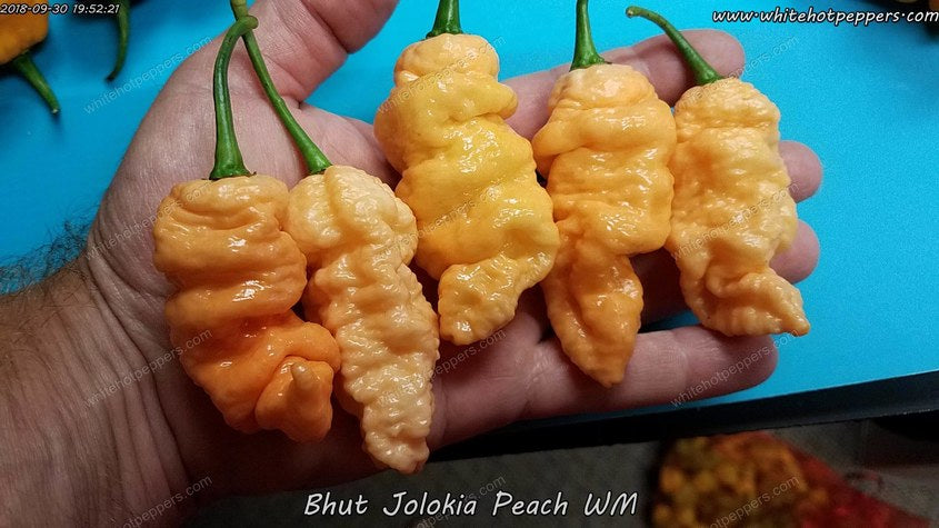 Bell peppers… – Julzie Style