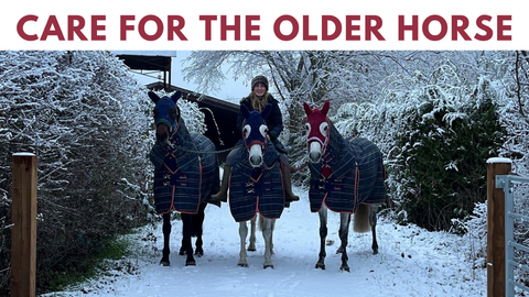 care for the older horse this winter with snuggy hoods