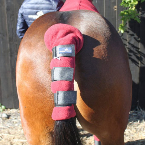 horse tail guard