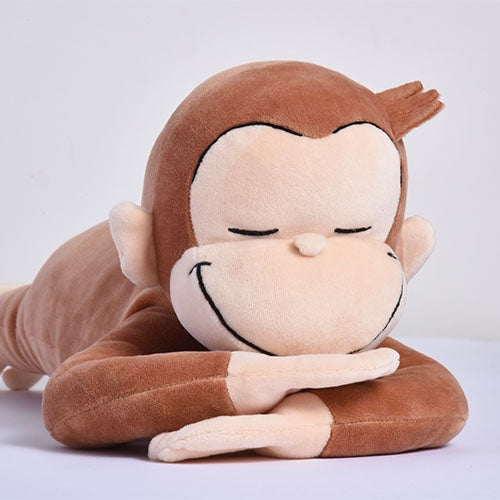 curious george teddy