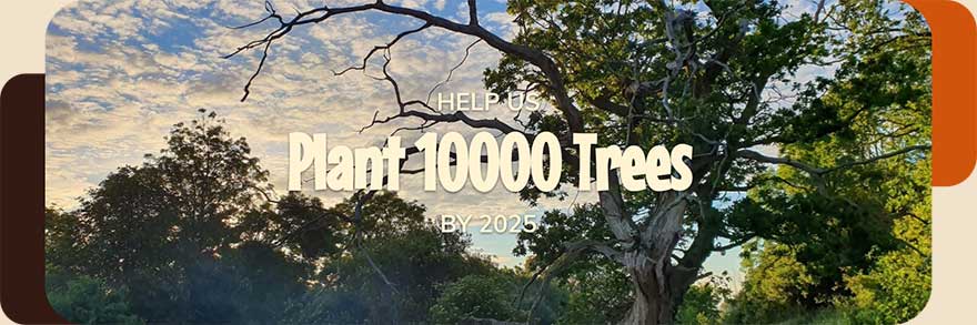 help us plant 10000 trees