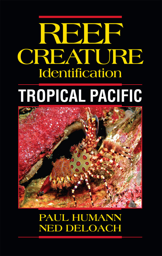 Reef Creature Identification Tropical Pacific Idaho