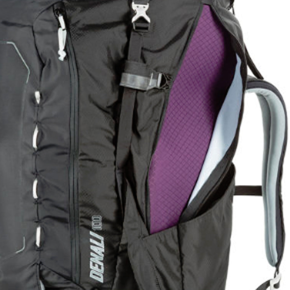 gregory purple backpack