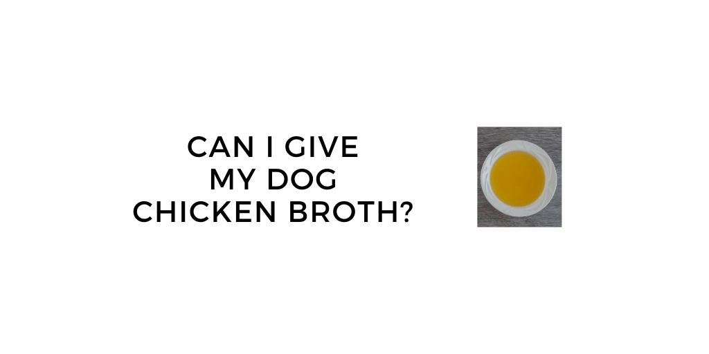 Can You Give A Dog Chicken Broth