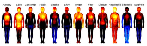 Связь разума и тела: как эмоции влияют на наше здоровье