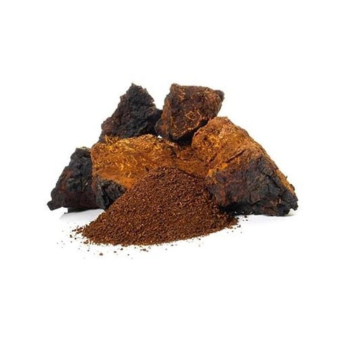 ČAGA- chaga, Beržo juodgrybis (Inonotus obliquus)