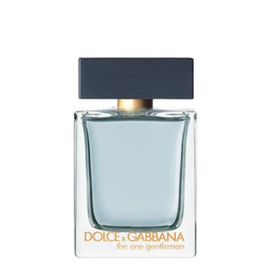 the one gentleman dolce gabbana