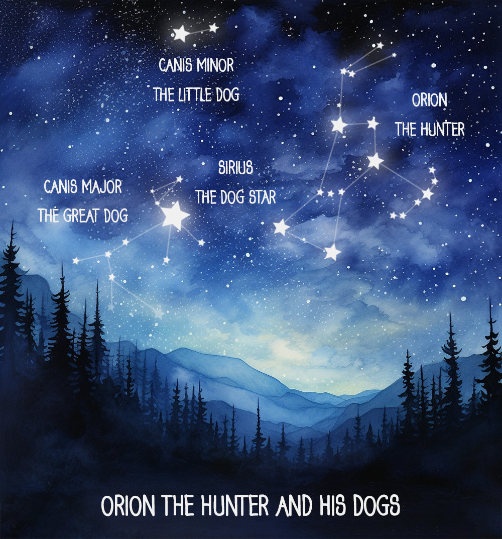 orion the hunter star constellation and his two dogs canis major and canis minor in the night sky