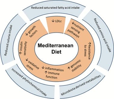 Le régime méditerranéen : Comment ça fonctionne ? – amoseeds