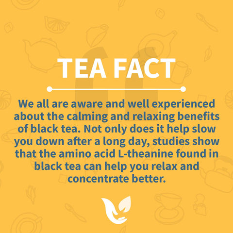 Tea fact: The calming benefits of tea