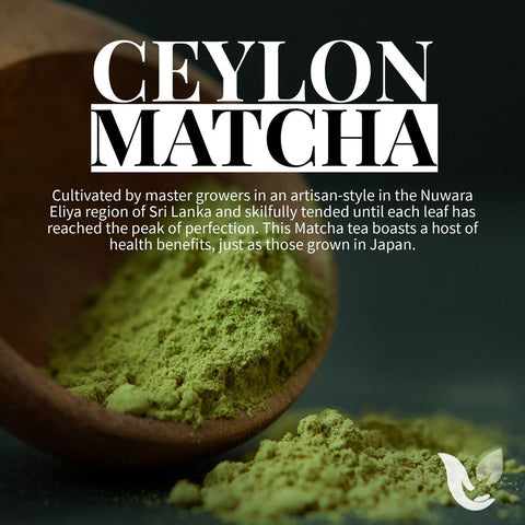 Ceylon Matcha tea