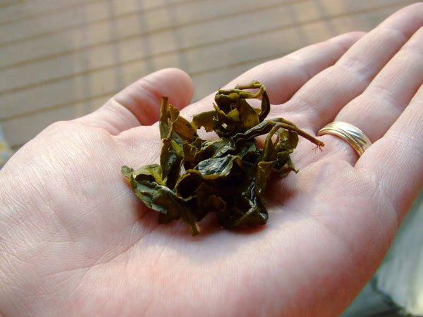 Oolong tea leaves