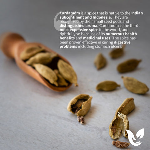 Benefits of Cardamom in chai tea