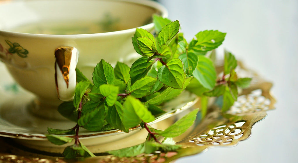 Peppermint tea for anxiety