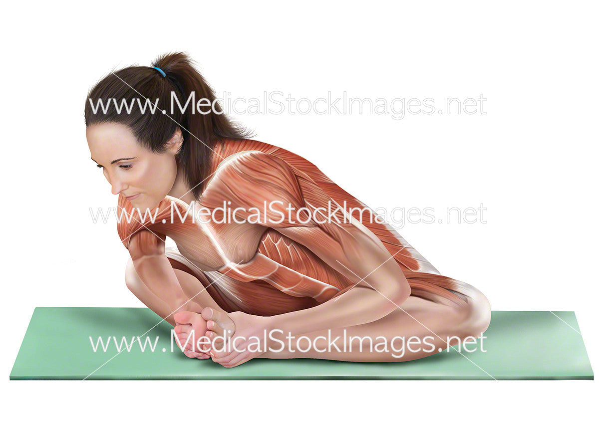 Yoga Cobblers Pose Baddha Konasana Medical Stock Images Company 