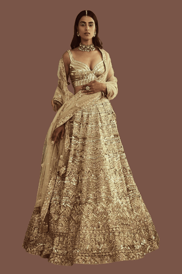 Cedar & Pine - The shimmering sequin tulle lehenga in walnut brown exudes  vintage charm and glamour . Styled with a metallic blouse and organza  dupatta . Photography @sumant_roy_photography Talent @pragathi_belliappa  MUA @