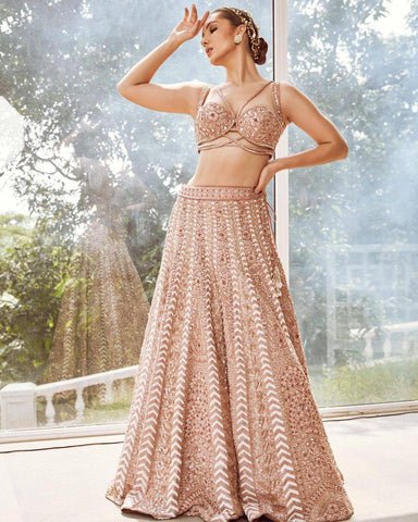 Oyster Pink Shimmer Dori Work Lehenga Choli