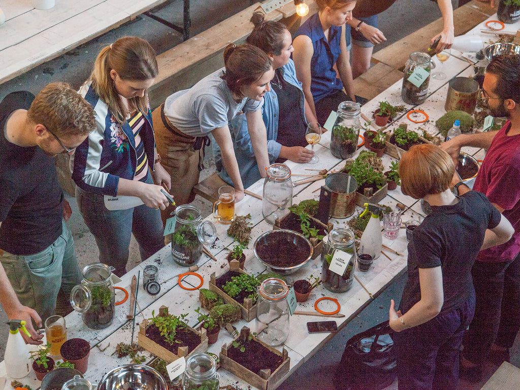  London Terrariums Workshop at Future and Found