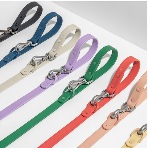 Dog Lead Colours | Wild One 