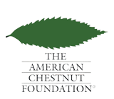 The American Chestnut Foundation: Special Edition Partner