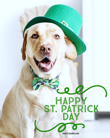 Happy St. Patrick Day ! what is st patrick's day.  things to do on st. patrick day. www.li-jacobs.com 