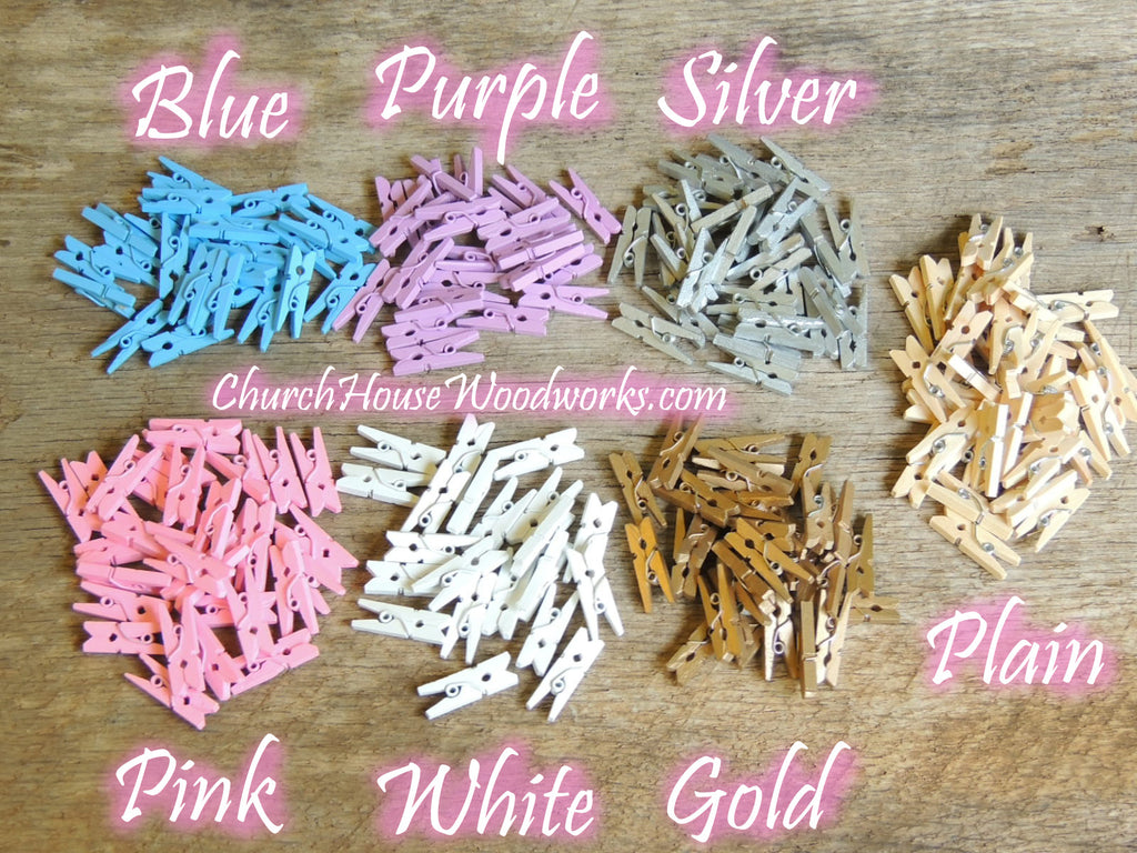 100 Pack Mini Clothes and Photo Pins for Crafts.