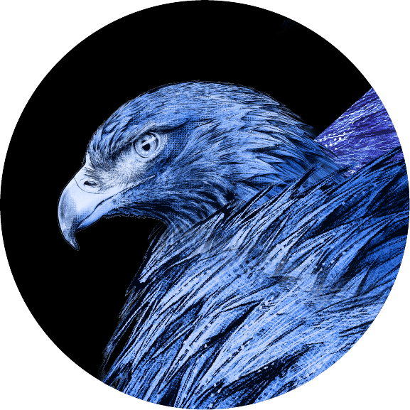 The Ravenclaw Eagle