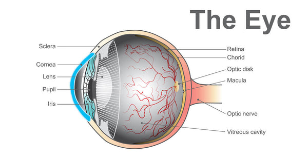 What is an astigmatism: anatomy of the eye infographic