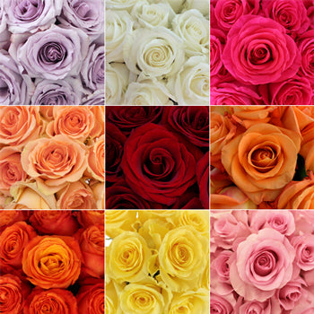 order roses online