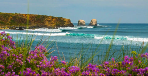 Punta de Lobos