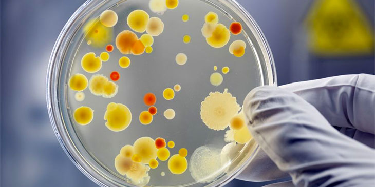 Will antimicrobial Pure Sense Buddy additive kill Coronavirus COVID-19?
