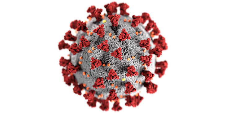 SARS-Cov-2 Coronavirus strain - tablet cases