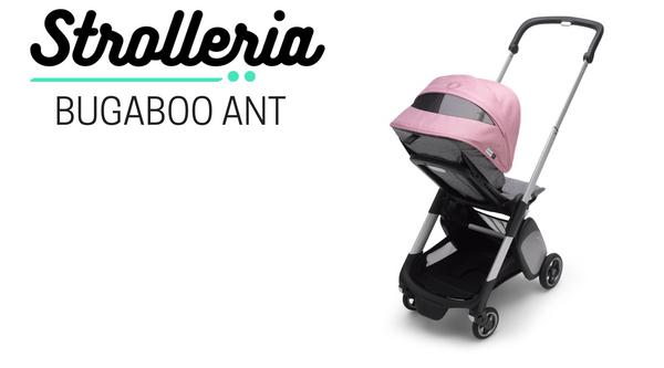 bugaboo ant grey