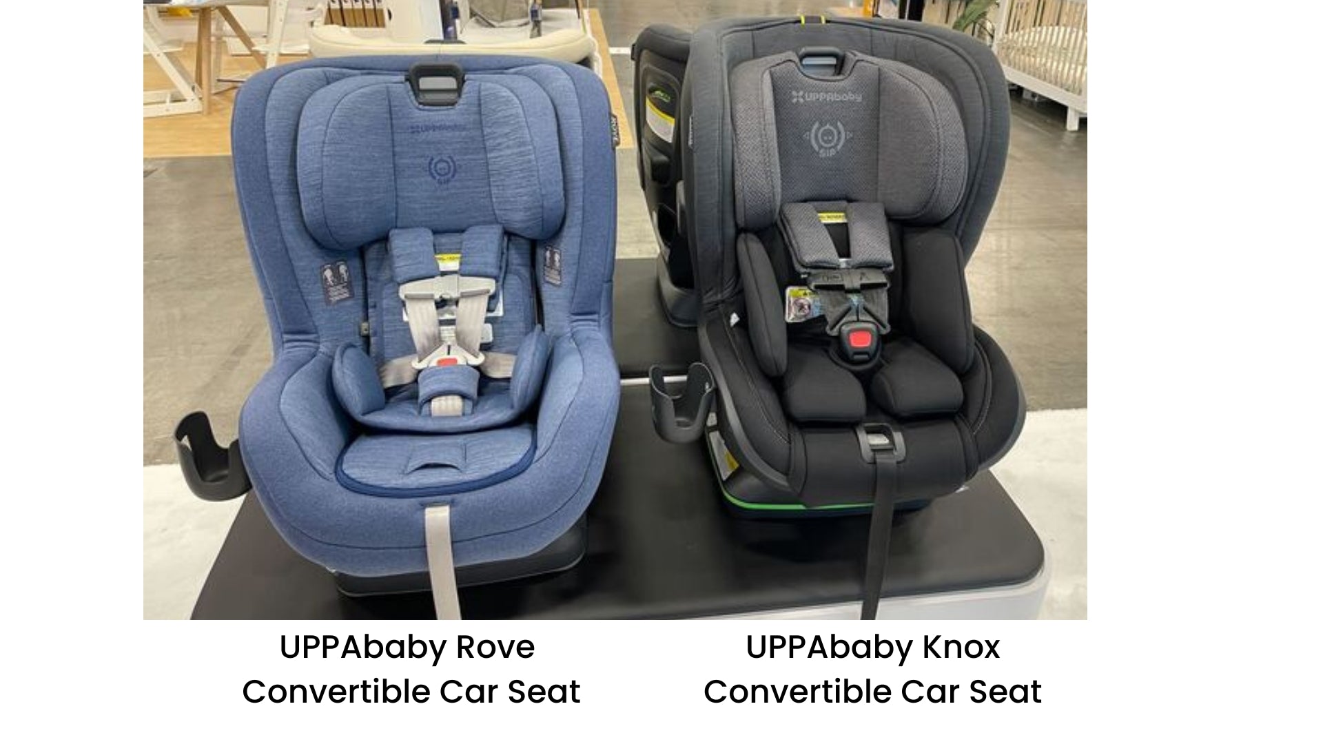 UPPAbaby Rove vs. UPPAbaby Knox